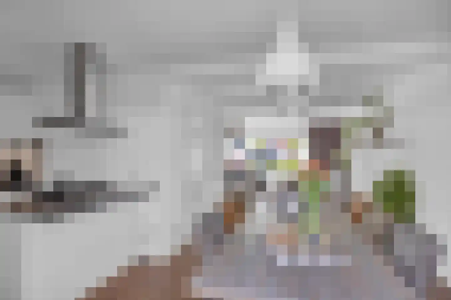 Breewijd 25 Sneek thumbnail 13