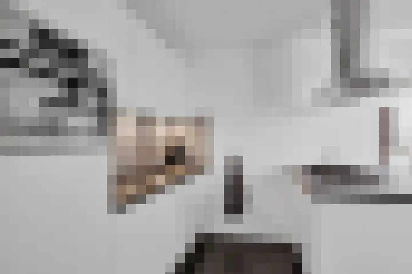 Breewijd 25 Sneek thumbnail 17