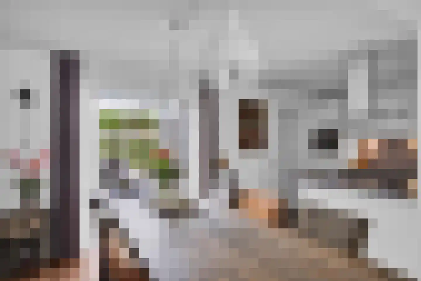 Breewijd 25 Sneek thumbnail 19