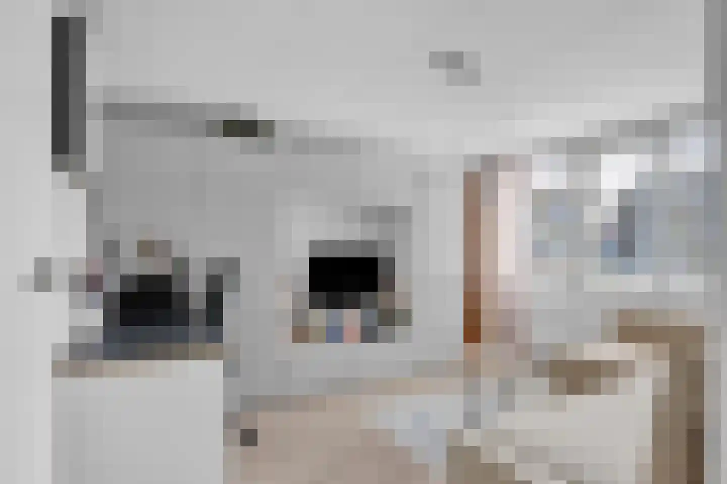 Breewijd 25 Sneek thumbnail 22
