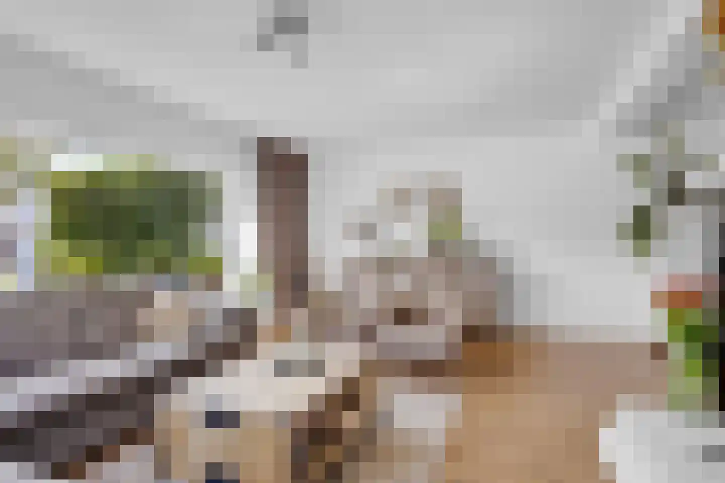 Breewijd 25 Sneek thumbnail 9