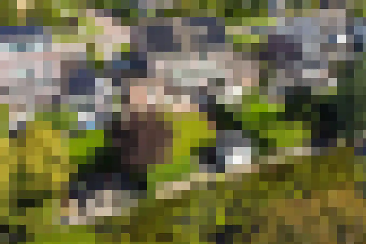 Breewijd 28 Sneek thumbnail 44