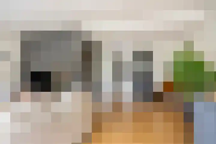 Breewijd 35 Sneek thumbnail 12