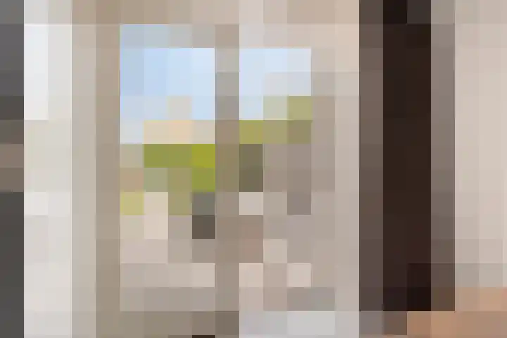 Breewijd 35 Sneek thumbnail 14