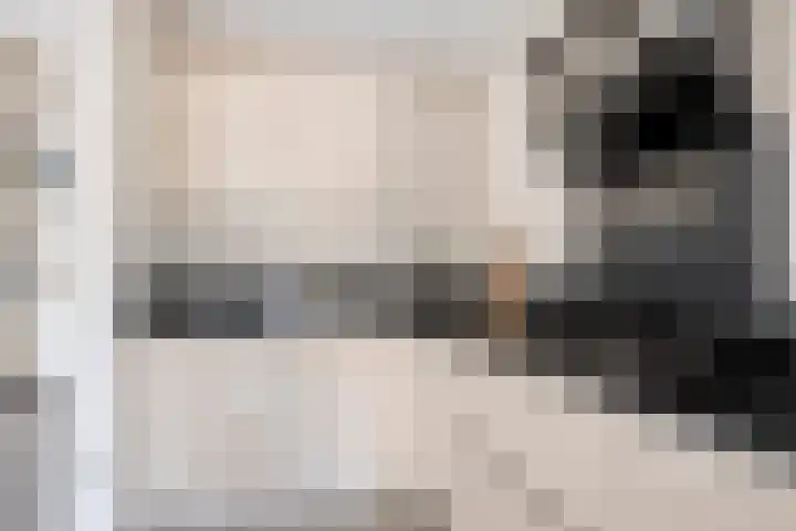 Breewijd 35 Sneek thumbnail 15