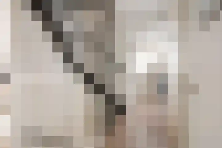 Breewijd 35 Sneek thumbnail 18