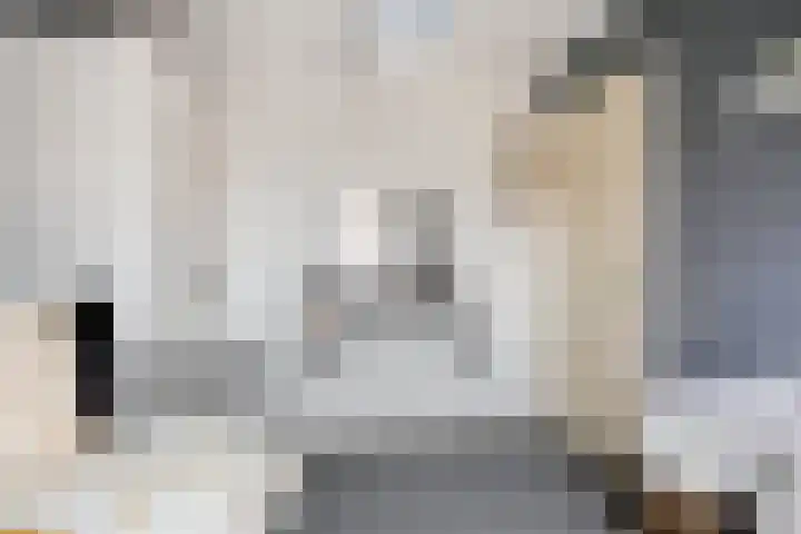 Breewijd 35 Sneek thumbnail 25