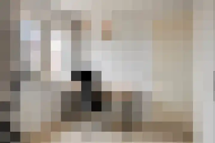 Breewijd 35 Sneek thumbnail 29