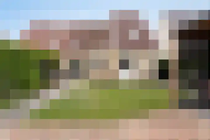 Breewijd 35 Sneek thumbnail 32