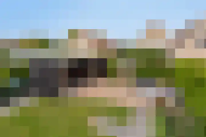 Breewijd 35 Sneek thumbnail 33