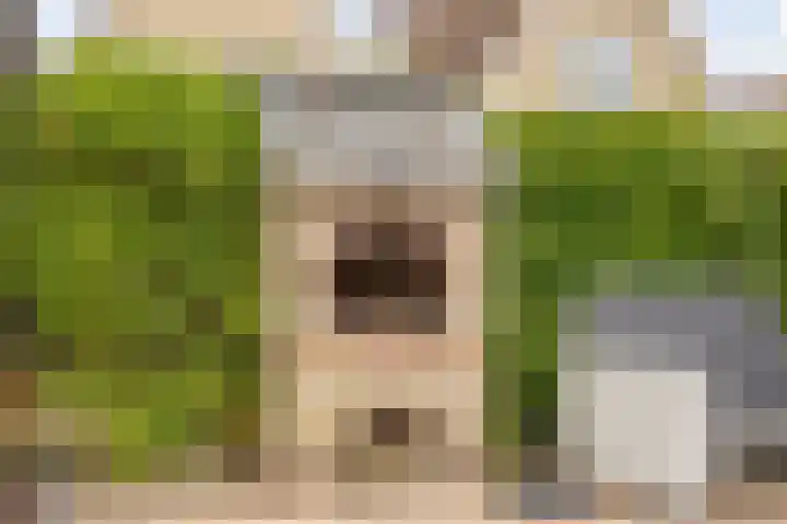 Breewijd 35 Sneek thumbnail 36