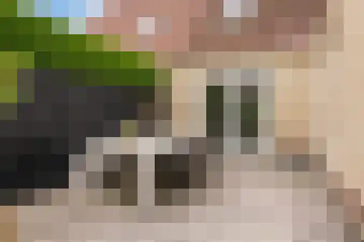 Breewijd 35 Sneek thumbnail 37