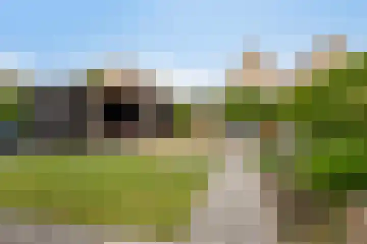 Breewijd 35 Sneek thumbnail 6