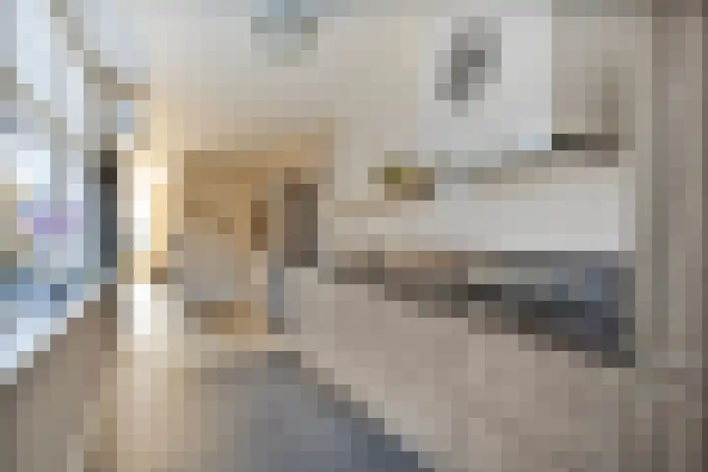 Breewijd 5 Volendam thumbnail 12