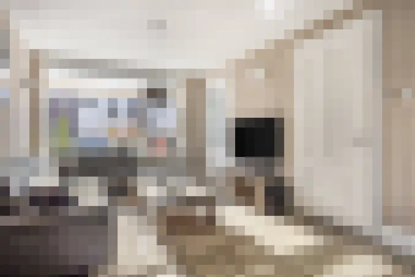 Breewijd 5 Volendam thumbnail 8