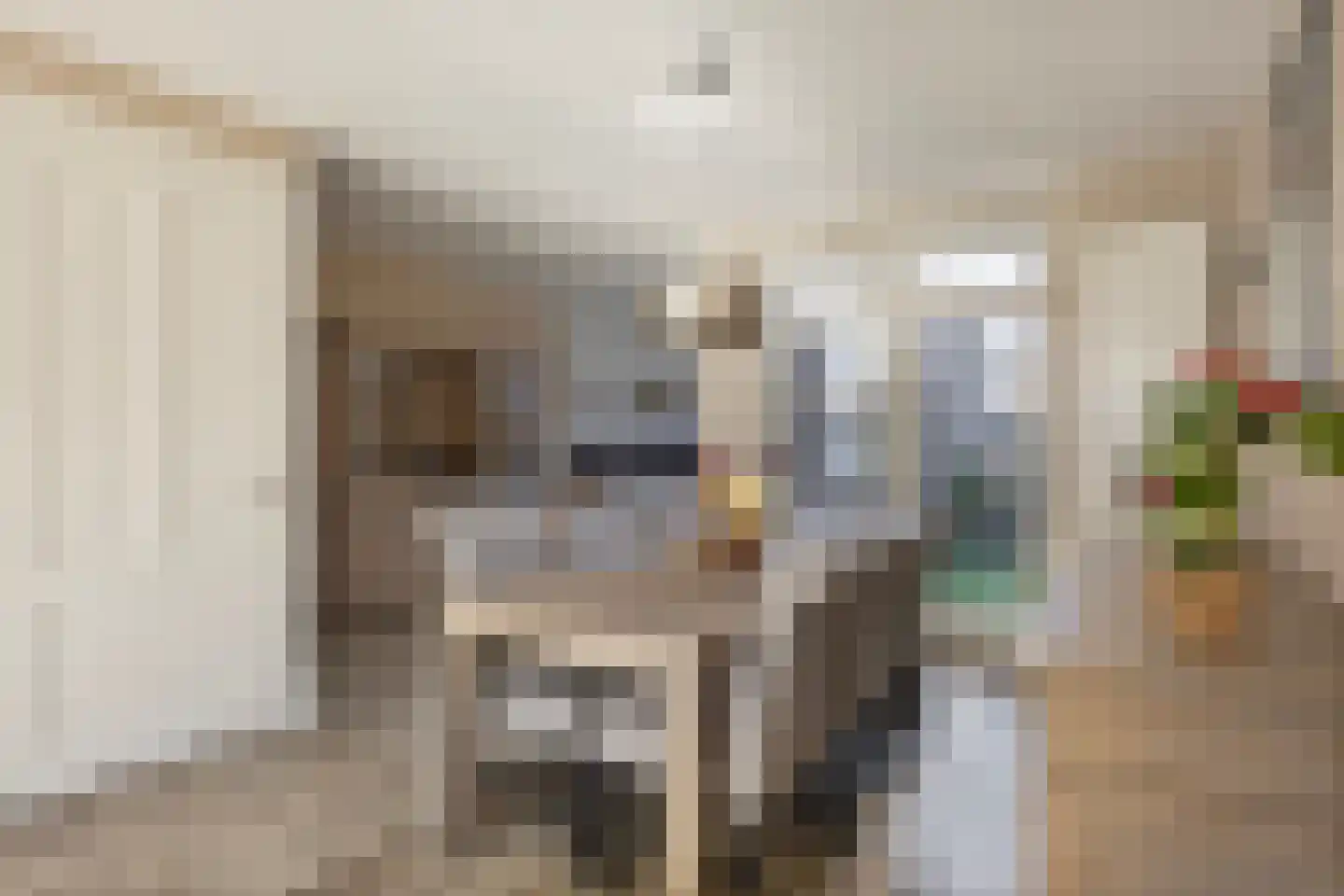 Breewijd 5 Volendam thumbnail 9