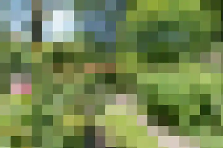 Breezand 20 Zeewolde thumbnail 37