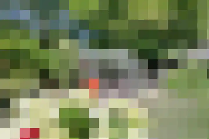 Breezand 20 Zeewolde thumbnail 42