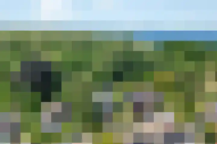 Breezand 20 Zeewolde thumbnail 45