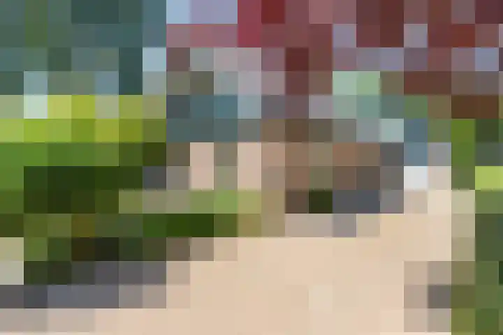 Breezand 20 Zeewolde thumbnail 5