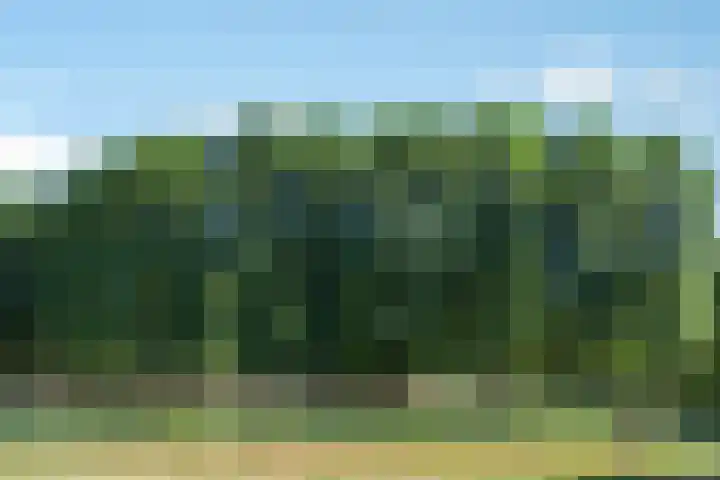 Breezand 20 Zeewolde thumbnail 51
