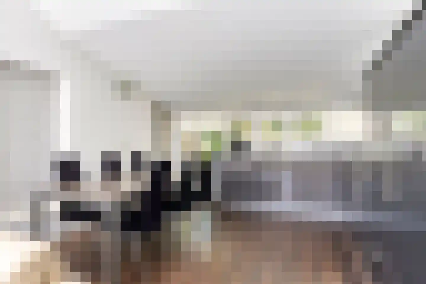 Breezand 45 Vrouwenpolder thumbnail 10
