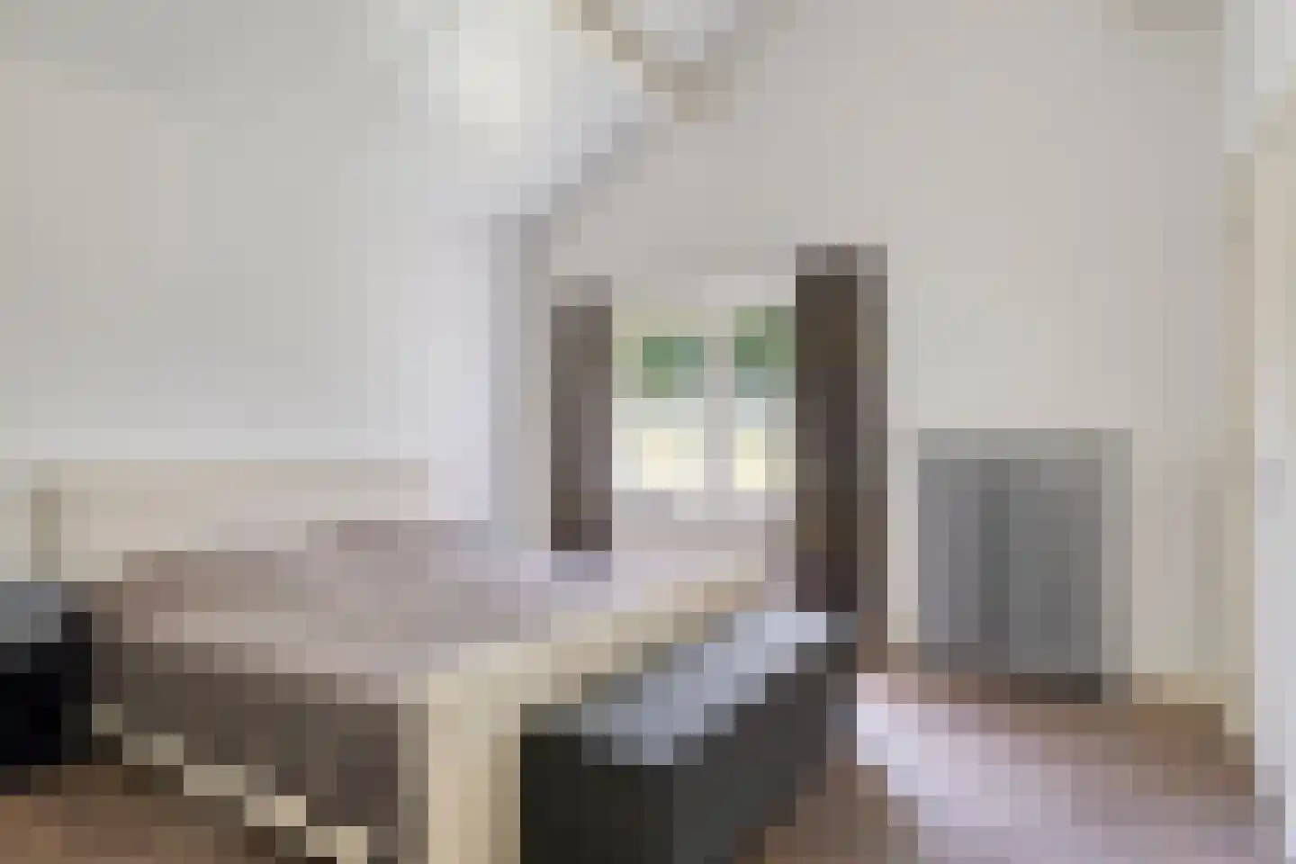 Breezand 45 Vrouwenpolder thumbnail 14