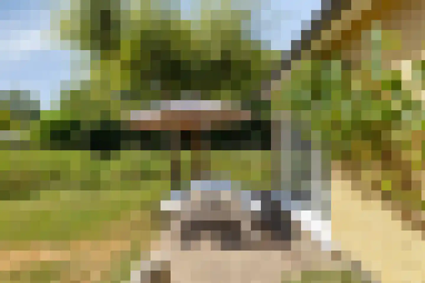 Breezand 45 Vrouwenpolder thumbnail 24