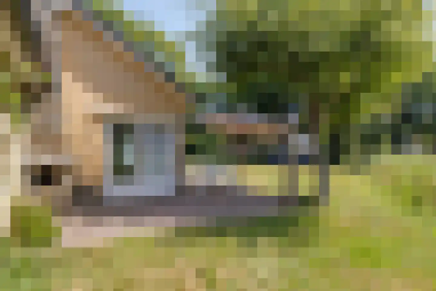 Breezand 45 Vrouwenpolder thumbnail 25