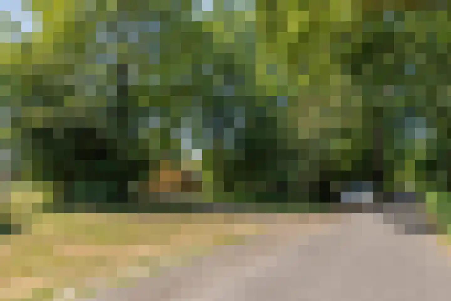Breezand 45 Vrouwenpolder thumbnail 26
