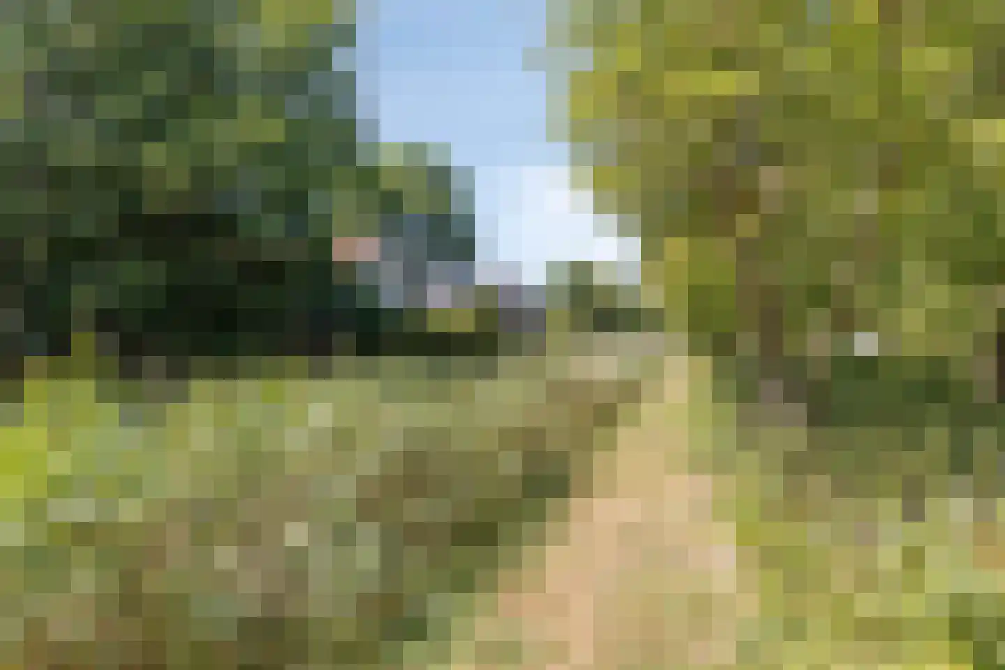Breezand 45 Vrouwenpolder thumbnail 27