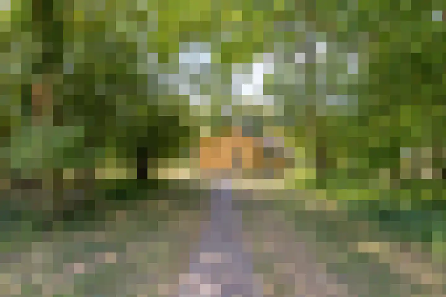 Breezand 45 Vrouwenpolder thumbnail 28
