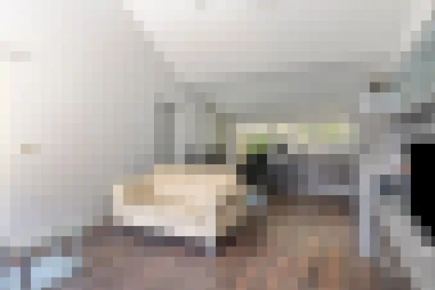 Breezand 45 Vrouwenpolder thumbnail 7