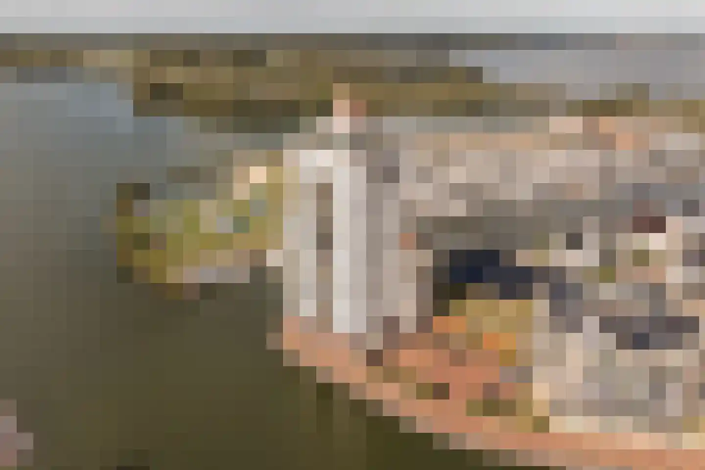 Breezand 58 Harderwijk thumbnail 52