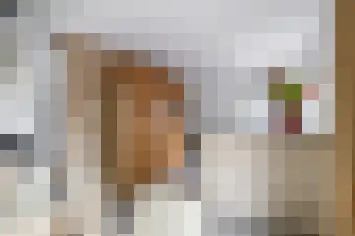 Breezand 9 Lemmer thumbnail 16