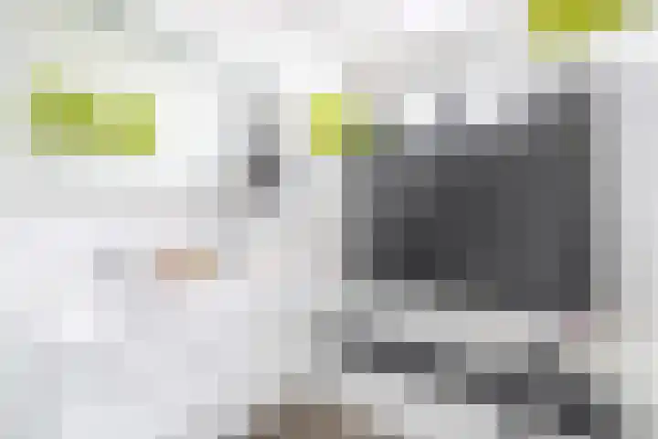 Breezand 9 Lemmer thumbnail 21