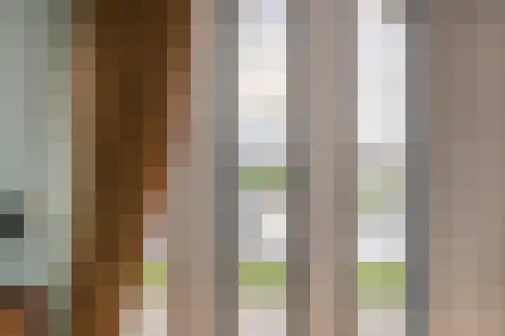 Breezand 9 Lemmer thumbnail 29