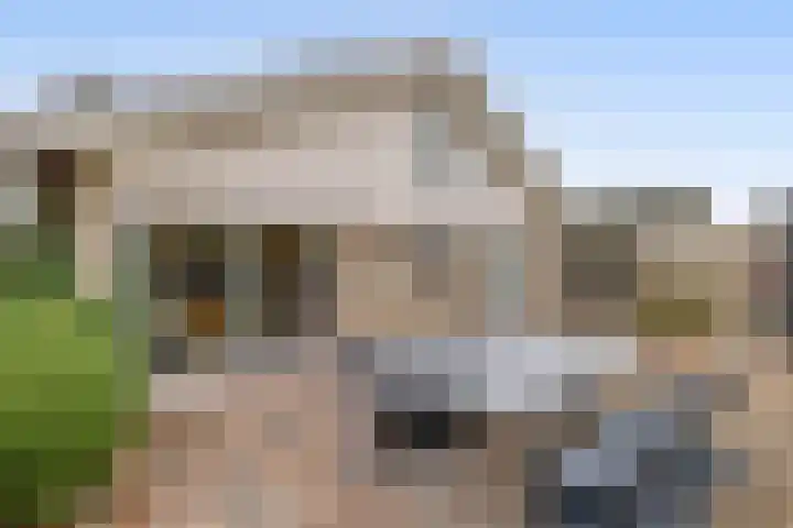 Breezand 9 Lemmer thumbnail 36