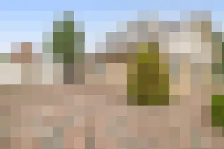 Breezand 9 Lemmer thumbnail 4