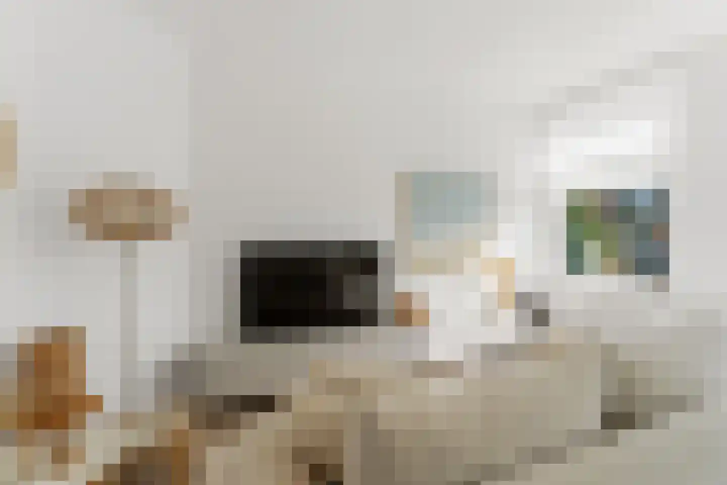 Breezandstraat 37 Den Haag thumbnail 11
