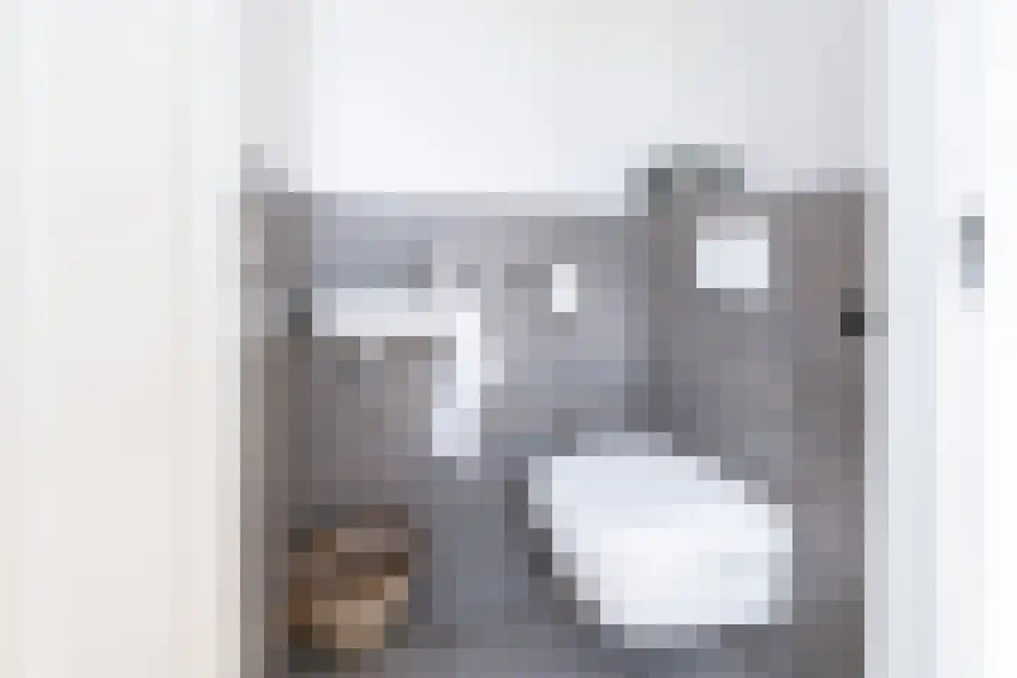 Breezichtlaan 81 Zwolle thumbnail 20