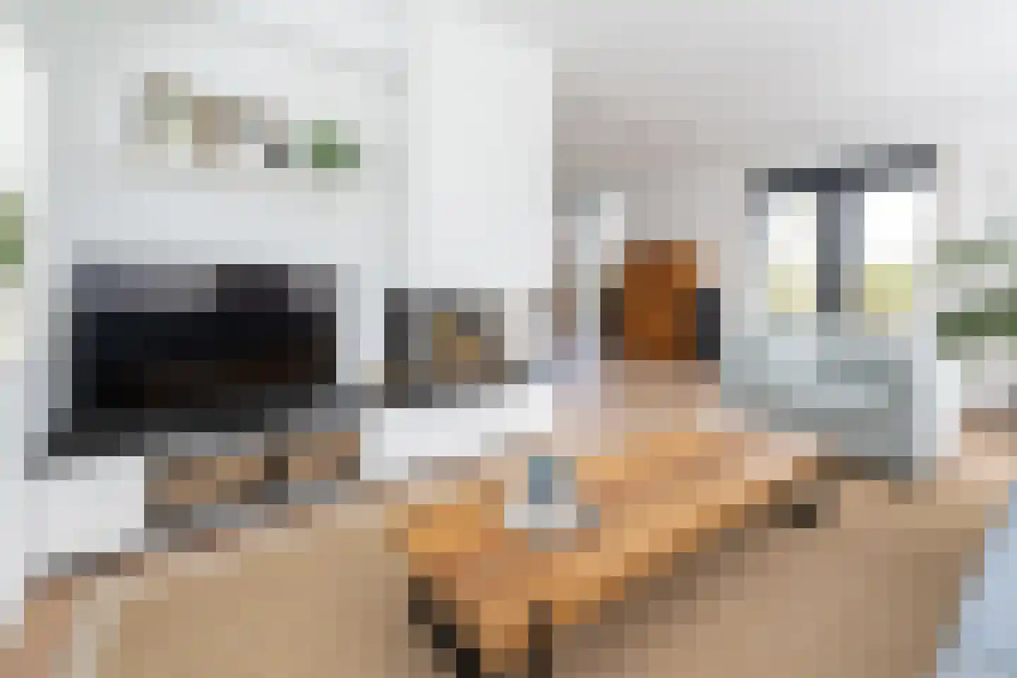 Breezichtlaan 81 Zwolle thumbnail 7