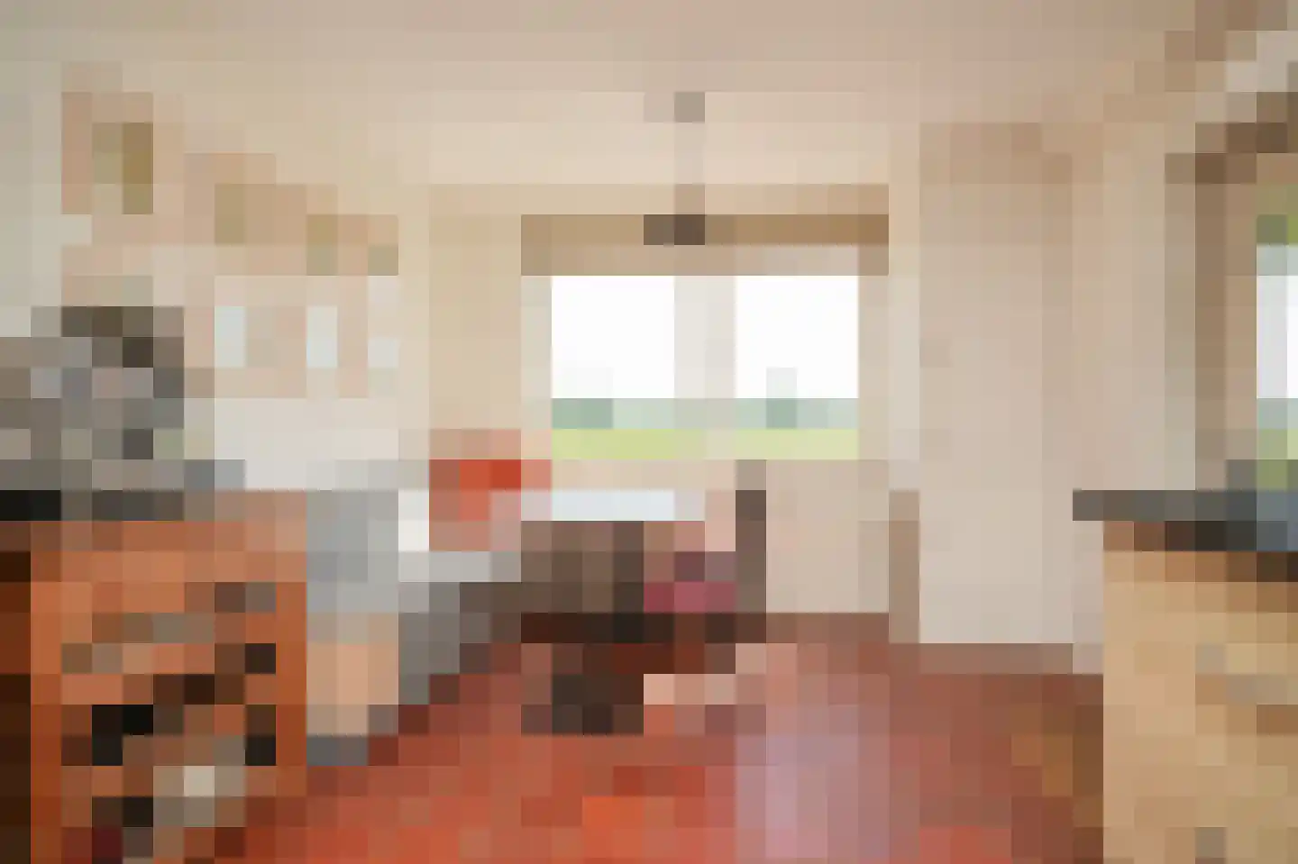Breezij 17 Rhenoy thumbnail 10
