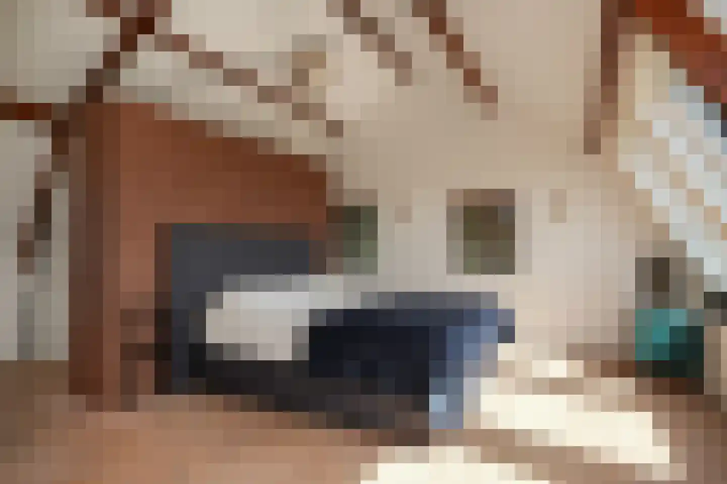 Breezij 17 Rhenoy thumbnail 22