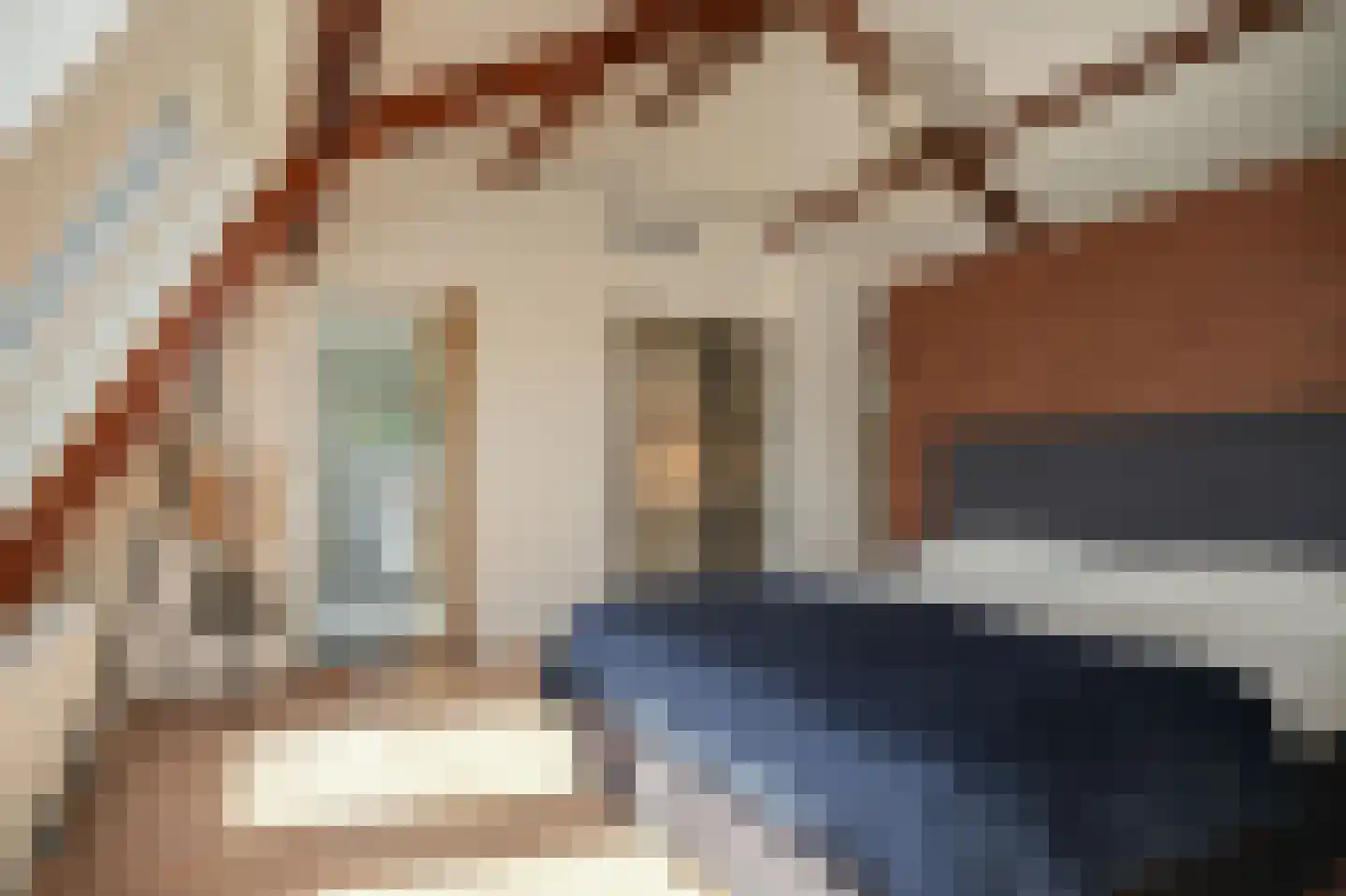 Breezij 17 Rhenoy thumbnail 23