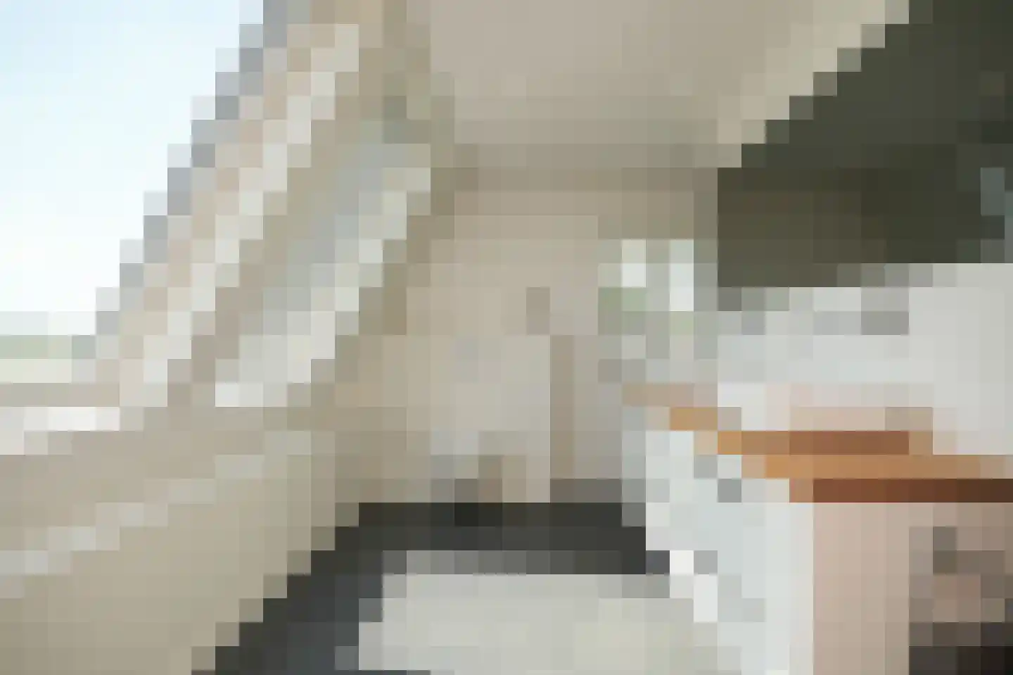 Breezij 17 Rhenoy thumbnail 25