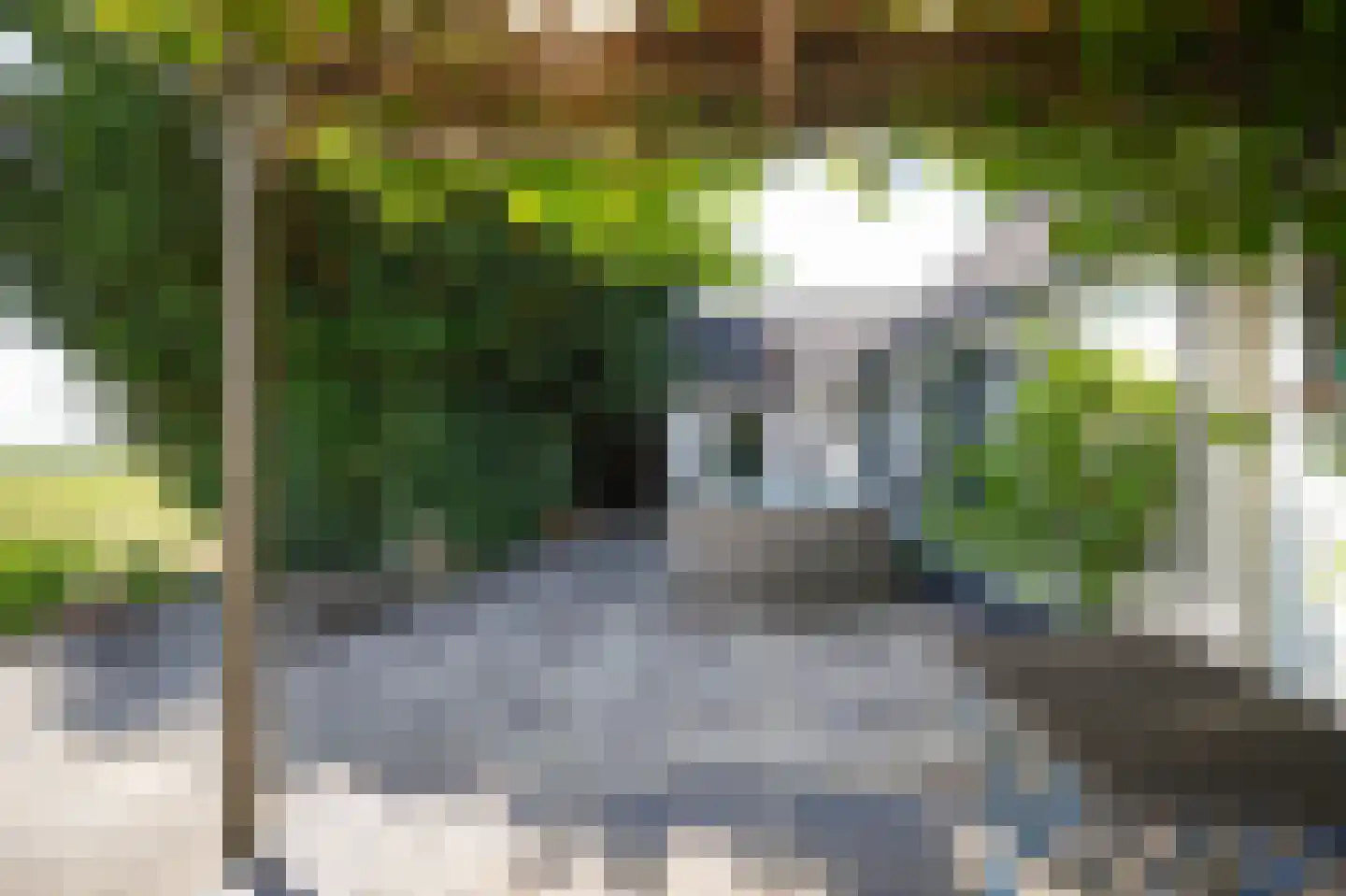 Breezij 17 Rhenoy thumbnail 28