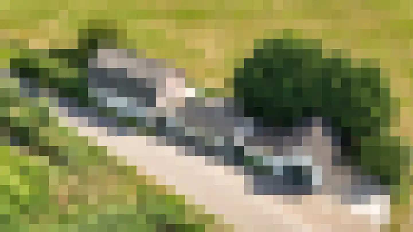 Breezij 17 Rhenoy thumbnail 40