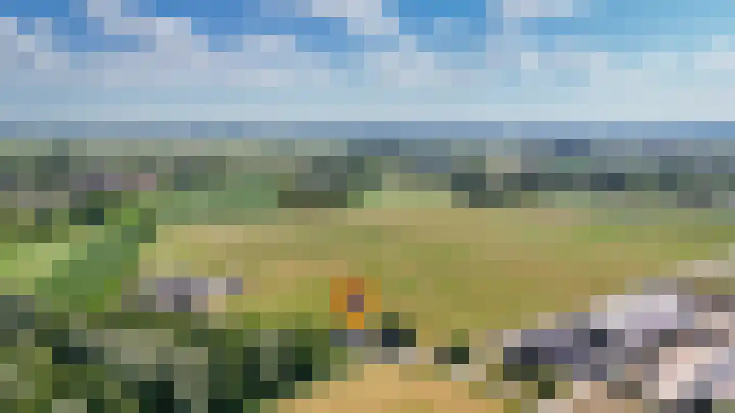 Breezij 17 Rhenoy thumbnail 41