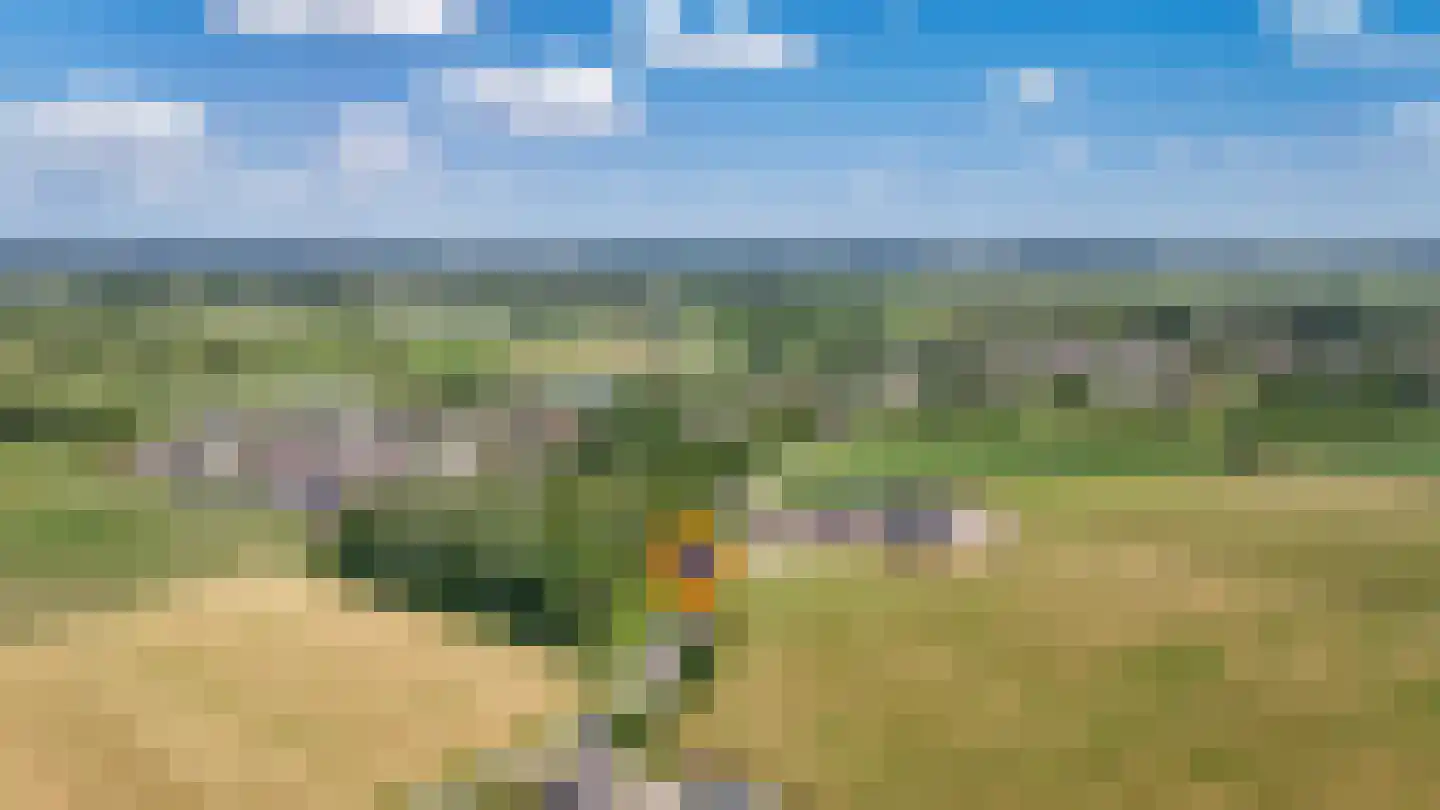 Breezij 17 Rhenoy thumbnail 42